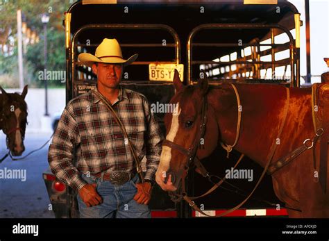 Texas fort worth stockyards rodeo hi-res stock photography and images ...