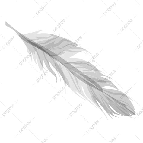 Angel Feather Clipart PNG, Vector, PSD, and Clipart With Transparent Background for Free ...