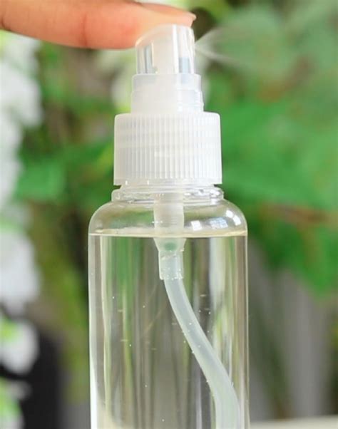 DIY Face Mist | Whole Elise