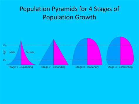 5 Stages Of Population Pyramids