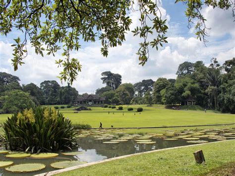 Bogor Botanical Garden Tour from Jakarta All Inclusive - Wandernesia