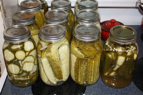 Simple Canned Pickles for Dummies like me, lol! I canned pickles today ...