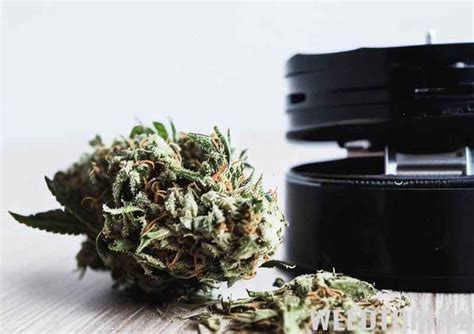 Types of Weed Grinders Explained: What's Right For You? - Weedtokia.com