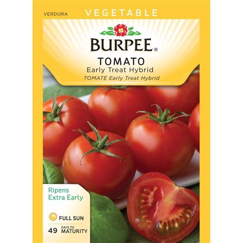 Burpee Tomato Early Treat Hybrid Seed-64658 - The Home Depot