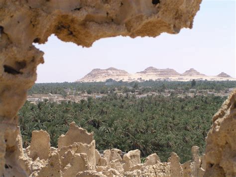 Siwa Oasis, Egypt Oases