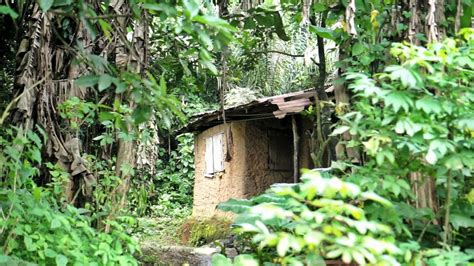 #TravelNigeria || My Road Trip From Lagos To Experience The Erin Ijesha Waterfall.