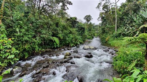 La ONU declara el acceso a un medio ambiente limpio y saludable, un derecho humano universal