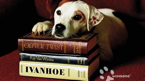 Wishbone - TheTVDB.com