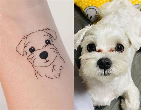 What Is A Tattoo On A Dog