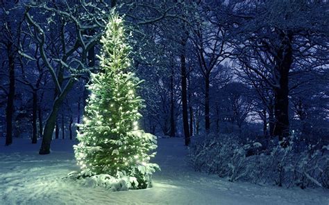 Christmas Tree Landscape Wallpapers - Wallpaper Cave