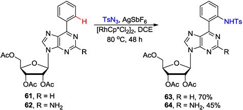 Molecules | Free Full-Text | Modification of Purine and Pyrimidine Nucleosides by Direct C-H ...