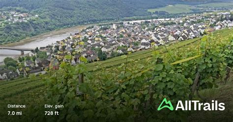 Longen - Mehring, Rhineland-Palatine, Germany - 6 Reviews, Map | AllTrails