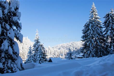 Wonderfull View in Mountains from Maramures Stock Photo - Image of beautiful, mountains: 143626518