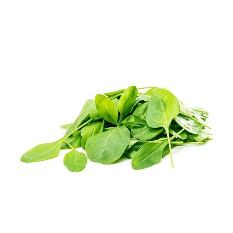 Hydroponic Baby Spinach | Organically Grown – Onlyhydroponics