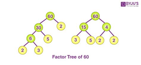 What are two different factor trees for 60? - Q&A