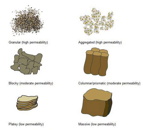 Soil: What is it & Why does it matter? | by Wayne Gibbins | Medium