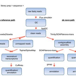 2 Outline for comparison of RNA-seq tools in this study. | Download ...