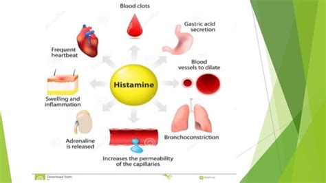 H1 & h2 receptor blockers