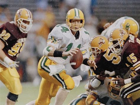 Oregon's Bill Musgrave from the mid 1980s as QB - now the quarterbacks ...