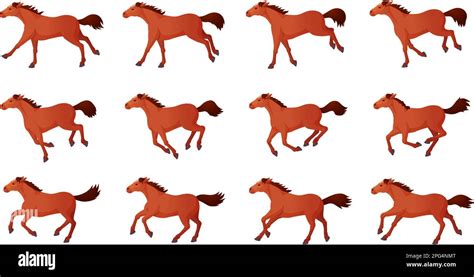 Horse animation. Cartoon horses running gait movements animate frames ...