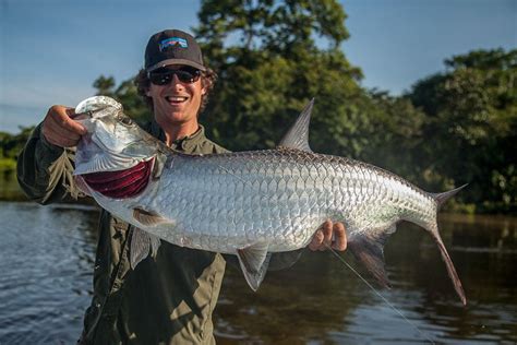 Jungle Tarpon Lodge | Fly Fishing | Costa Rica | Sportquest Holidays