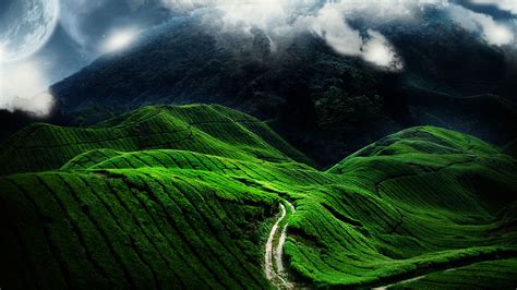 Grass Covered Mountain Road Wallpaper, HD Nature 4K Wallpapers, Images and Background ...