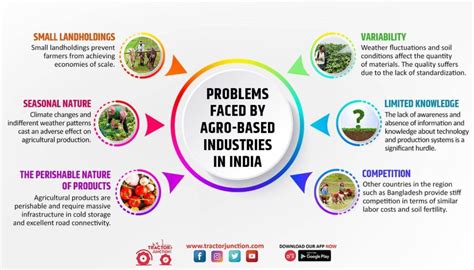 Top 6 Agro-based Industries in India - Types, Importance & Scenario