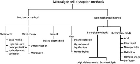 5 Microalgae cell disruption methods. | Download Scientific Diagram