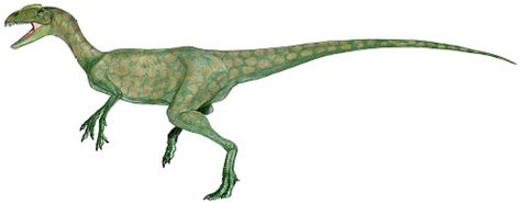 Liliensternus Pictures & Facts - The Dinosaur Database