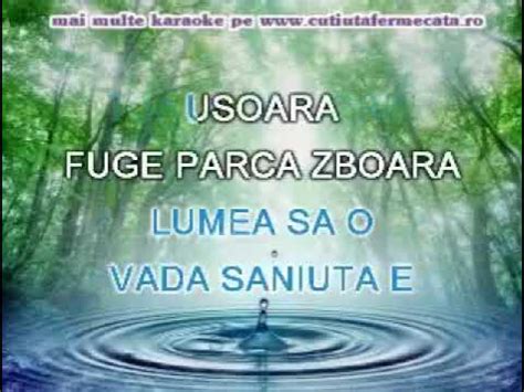 Karaoke instrumental Saniuta fuge - YouTube