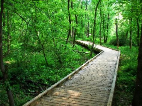 Swamp Rabbit Trail Urban Ultra - Greenville , SC 10/03/20