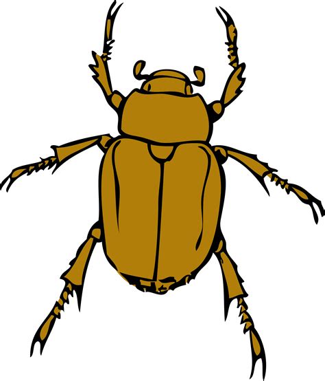 Insect clipart bug, Insect bug Transparent FREE for download on ...