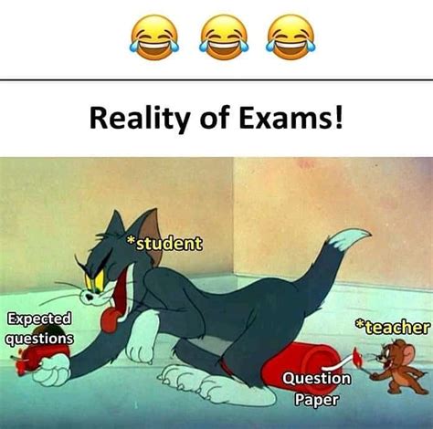 So accurate 🤣🤣 | Funny cartoon memes, Funny school memes, Very funny memes