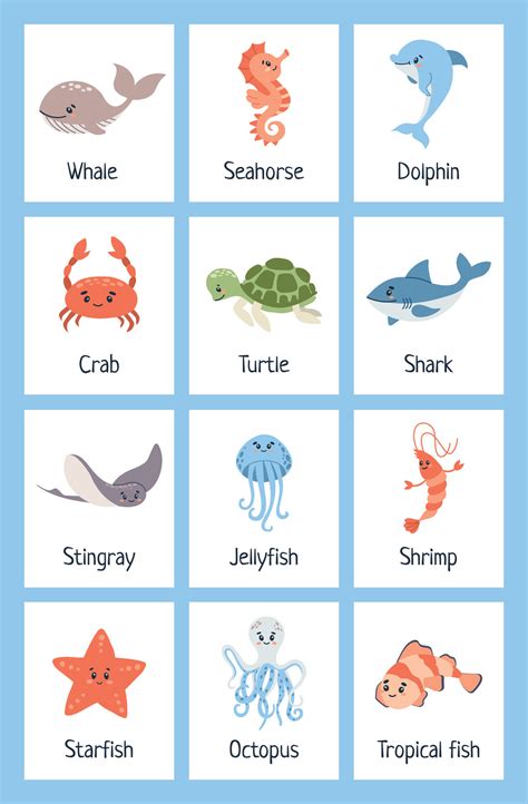 Sea animal flashcards. Learning ocean vocabulary. Sea creatures ...