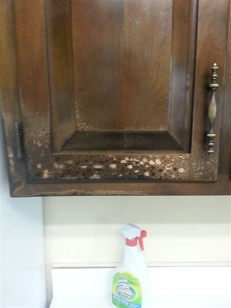 How to repair solid wood cabinet finish after fire? - Home Improvement Stack Exchange