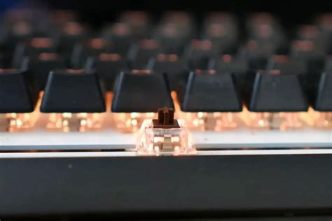 What are Brown Switches? Are they Good for Gaming?