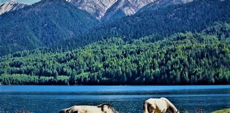 Rara Lake Trekking – World Race Travels & Adventures