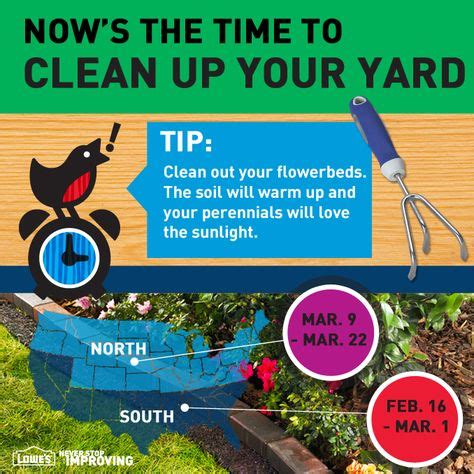 10 Best spring yard clean up tips images | Spring clean up, Clean up, Yard