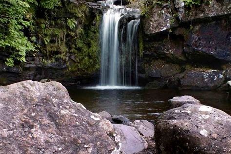 Waterfall at Campsie Glen | Travel photography, Top travel destinations, Places to visit