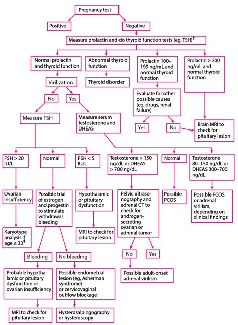 Primary Amenorrhea Algorithm