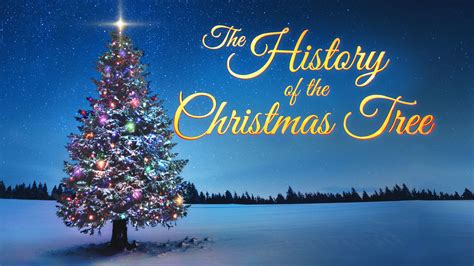 Watch The History of the Christmas Tree | Fox Nation