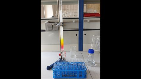 Gel filtration chromatography (Column chromatography) - YouTube