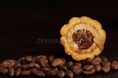 Dry Cacao Seeds With Open Fruit Stock Photo - Image of roasted, seed ...