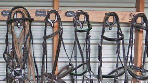 Homemade Low Cost Bridle Rack - Budget Equestrian