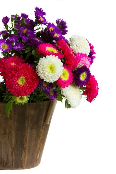 Bouquet Of Aster Flowers In Metal Pot Stock Photo - Image of mauve, astra: 32285084