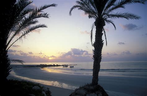 Djerba, Tunisia: guida ai luoghi da visitare - Lonely Planet