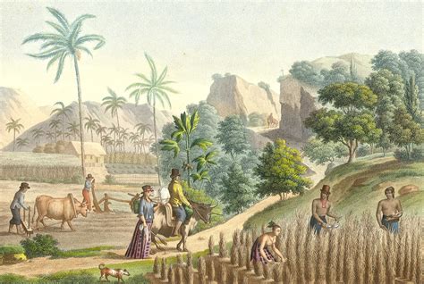 » Ancient Chamorro Agricultural Practices