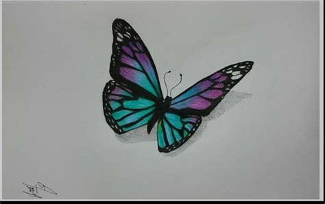 Pencil Drawing Of Butterflies at GetDrawings | Free download