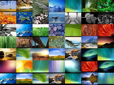 923 Wallpapers For Windows Vista free Download - MyWeb