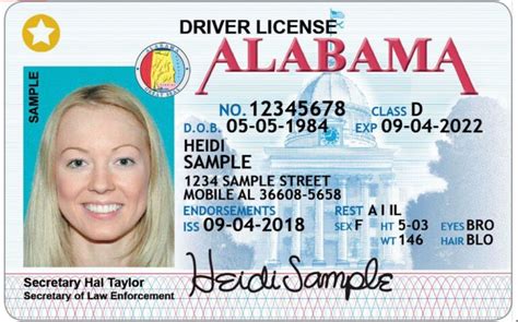 State Driver's Licenses | Driver's License Designs By State